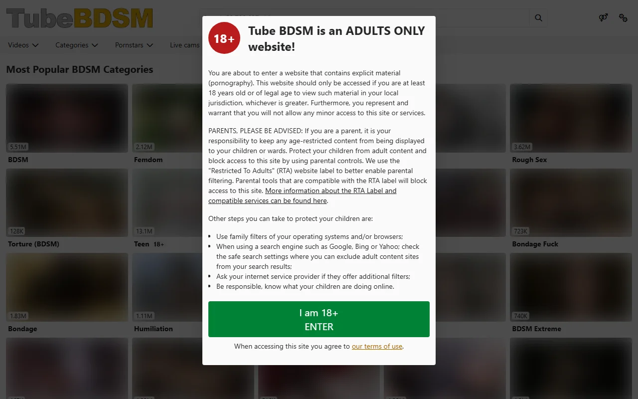 Screenshot: Tubebdsm Screenshot of Tubebdsm